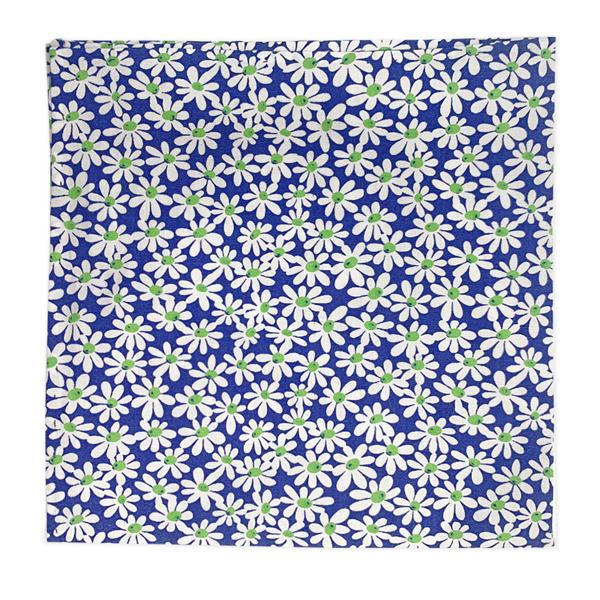 Pochette Dionisio Blu-Verde